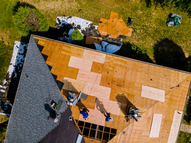 Best Shingle Roofing Installation  in Wiggins, MS