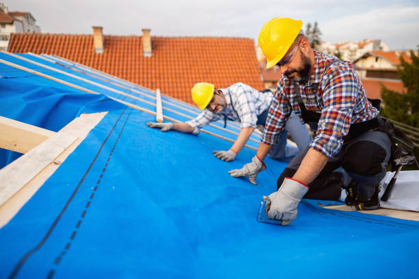 Best Storm Damage Roof Repair  in Wiggins, MS