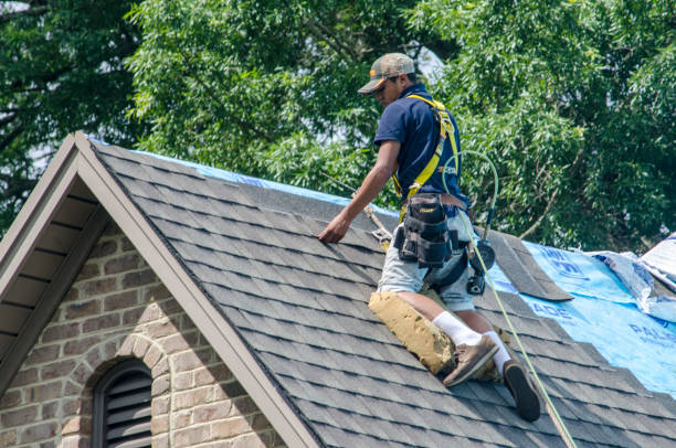 Best Gutter Installation and Roofing  in Wiggins, MS